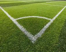 刘诗雯力克,强敌,胜出国际乒,爱体育平台,爱体育官方网站,爱体育登录入口,爱体育app下载