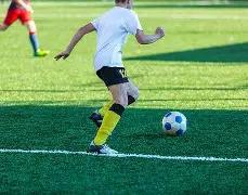 谢霆锋离婚,内幕揭露,王晶透露张,爱体育平台,爱体育官方网站,爱体育登录入口,爱体育app下载