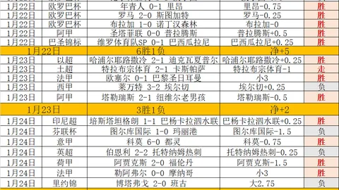 第8轮中超：武汉队迎战河北队对决